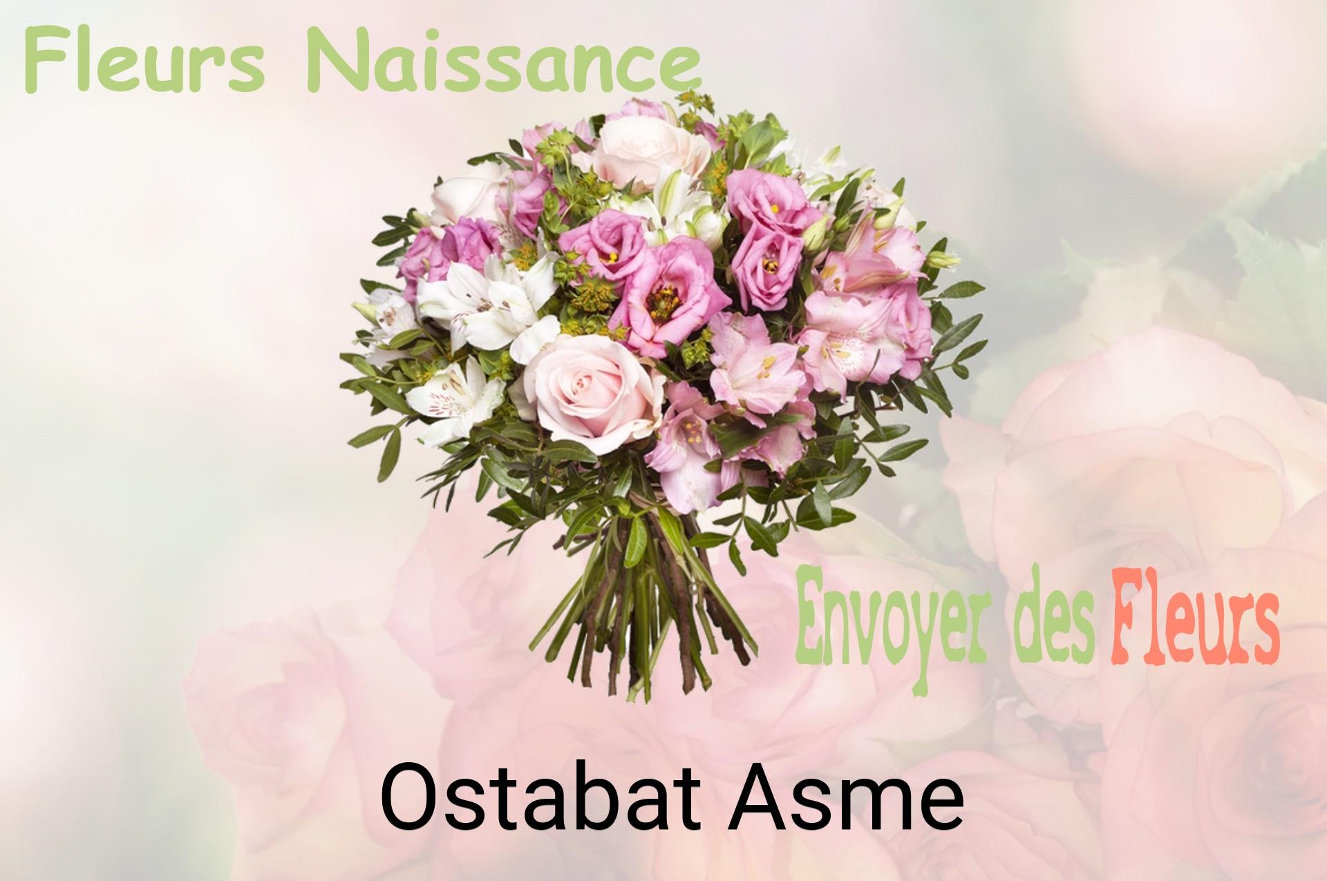 Bouquet de fleurs de naissance livré à Ostabat-Asme